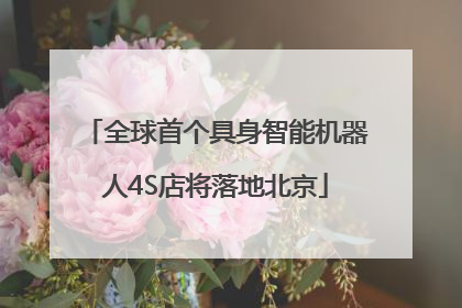 全球首个具身智能机器人4S店将落地北京