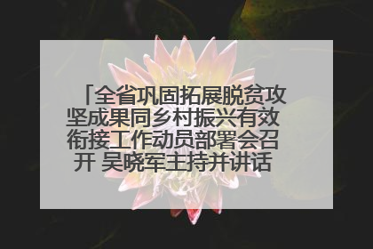 全省巩固拓展脱贫攻坚成果同乡村振兴有效衔接工作动员部署会召开 吴晓军主持并讲话 罗东川作安排部署