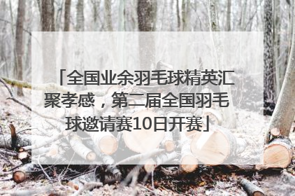 全国业余羽毛球精英汇聚孝感，第二届全国羽毛球邀请赛10日开赛