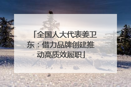 全国人大代表姜卫东：借力品牌创建推动高质效履职