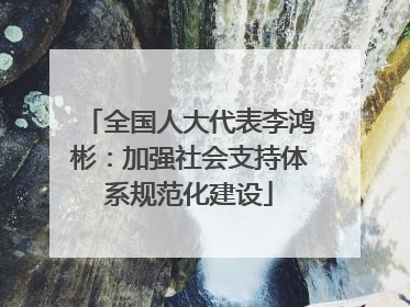 全国人大代表李鸿彬：加强社会支持体系规范化建设