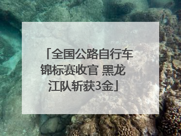 全国公路自行车锦标赛收官 黑龙江队斩获3金