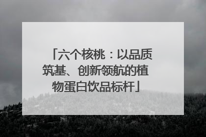 六个核桃：以品质筑基、创新领航的植物蛋白饮品标杆