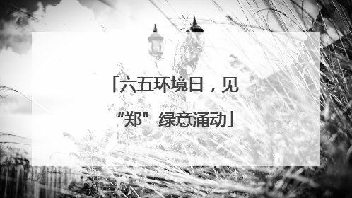 六五环境日，见“郑”绿意涌动