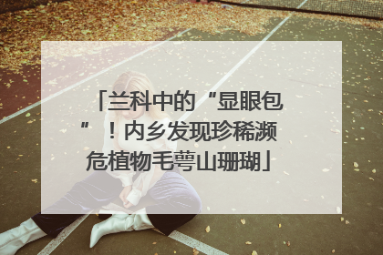 兰科中的“显眼包”！内乡发现珍稀濒危植物毛萼山珊瑚