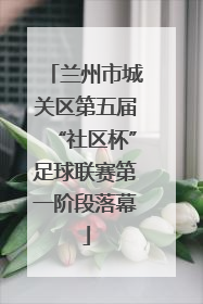 兰州市城关区第五届“社区杯”足球联赛第一阶段落幕