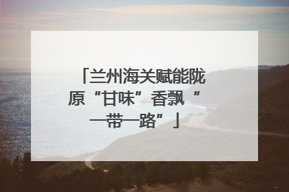 兰州海关赋能陇原“甘味”香飘“一带一路”
