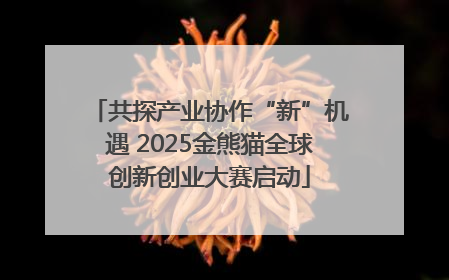 共探产业协作“新”机遇 2025金熊猫全球创新创业大赛启动