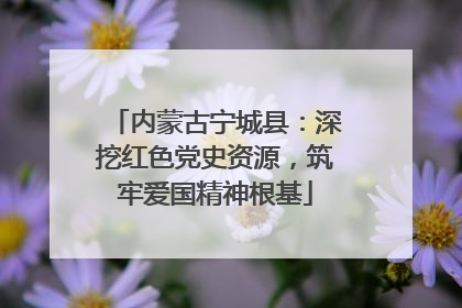 内蒙古宁城县：深挖红色党史资源，筑牢爱国精神根基