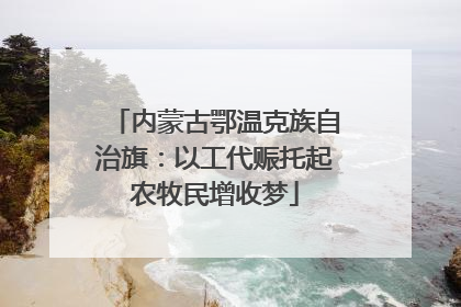内蒙古鄂温克族自治旗：以工代赈托起农牧民增收梦