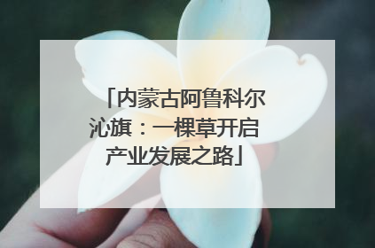 内蒙古阿鲁科尔沁旗：一棵草开启产业发展之路