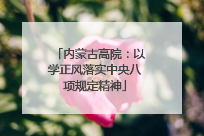 内蒙古高院：以学正风落实中央八项规定精神