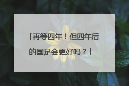 再等四年！但四年后的国足会更好吗？