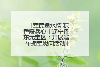 军民鱼水情 粽香暖兵心丨辽宁丹东元宝区：开展端午拥军慰问活动