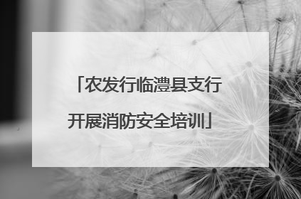 农发行临澧县支行开展消防安全培训