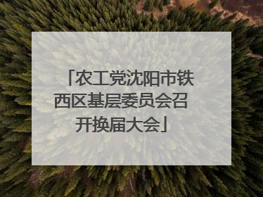 农工党沈阳市铁西区基层委员会召开换届大会