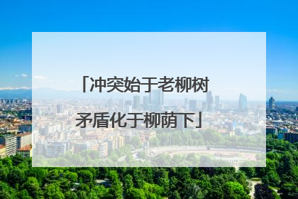 冲突始于老柳树 矛盾化于柳荫下
