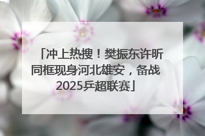 冲上热搜！樊振东许昕同框现身河北雄安，备战2025乒超联赛
