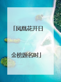 凤凰花开日 金榜题名时