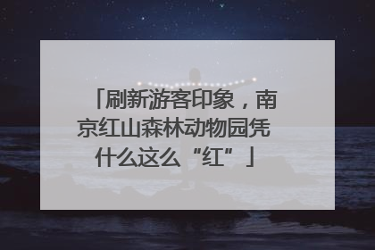 刷新游客印象，南京红山森林动物园凭什么这么“红”