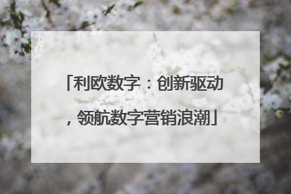 利欧数字：创新驱动，领航数字营销浪潮