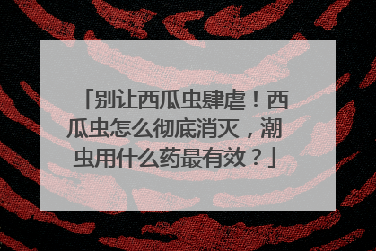 别让西瓜虫肆虐！西瓜虫怎么彻底消灭，潮虫用什么药最有效？
