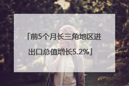 前5个月长三角地区进出口总值增长5.2%