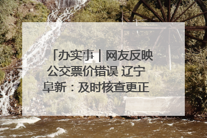办实事｜网友反映公交票价错误 辽宁阜新：及时核查更正 加强实时巡检