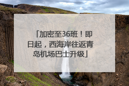 加密至36班！即日起，西海岸往返青岛机场巴士升级