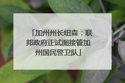 加州州长纽森：联邦政府正试图接管加州国民警卫队