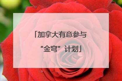 加拿大有意参与“金穹”计划