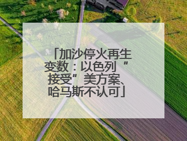 加沙停火再生变数：以色列“接受”美方案、哈马斯不认可