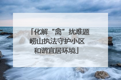 化解“禽”扰难题 崂山执法守护小区和谐宜居环境