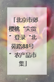 北京市郊樱桃“尖货”登录“北苑路88号”农产品市集