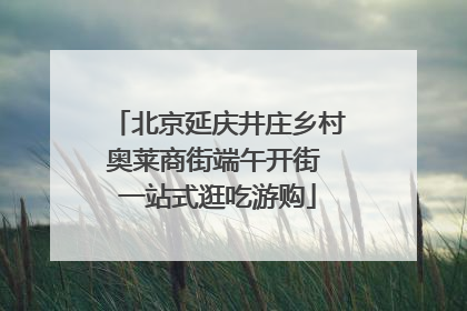 北京延庆井庄乡村奥莱商街端午开街 一站式逛吃游购