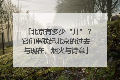 北京有多少“井”？它们串联起北京的过去与现在、烟火与诗意