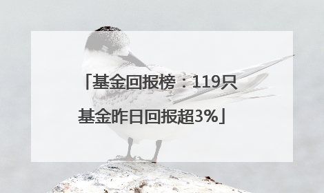 基金回报榜：119只基金昨日回报超3%