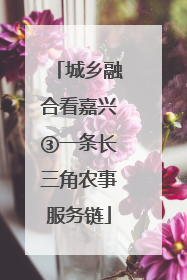 城乡融合看嘉兴③一条长三角农事服务链