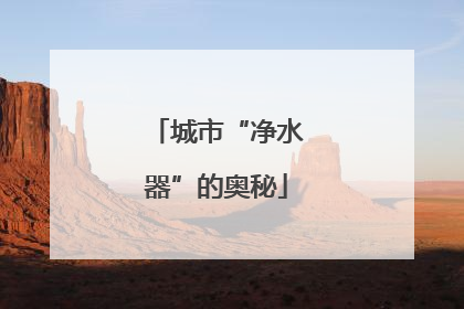 城市“净水器”的奥秘