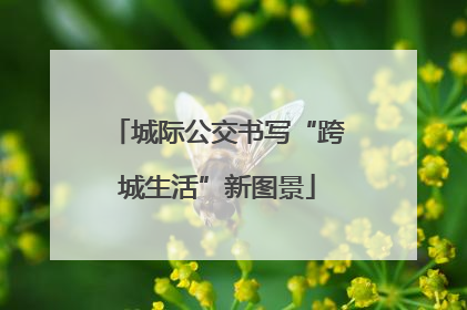 城际公交书写“跨城生活”新图景