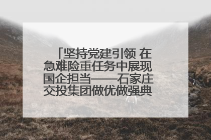 坚持党建引领 在急难险重任务中展现国企担当——石家庄交投集团做优做强典型报道之一