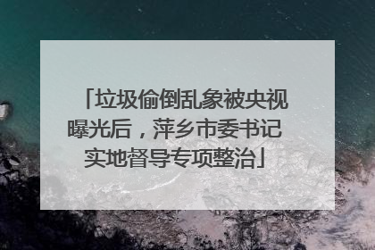 垃圾偷倒乱象被央视曝光后，萍乡市委书记实地督导专项整治