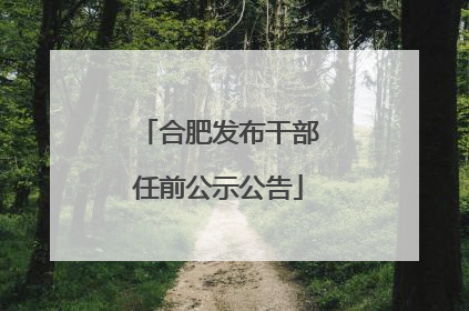 合肥发布干部任前公示公告