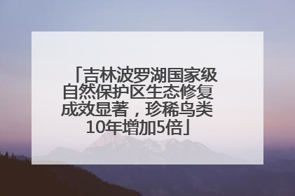 吉林波罗湖国家级自然保护区生态修复成效显著，珍稀鸟类10年增加5倍