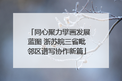 同心聚力擘画发展蓝图 浙苏皖三省毗邻区谱写协作新篇