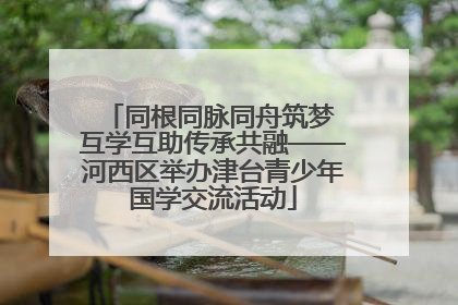 同根同脉同舟筑梦 互学互助传承共融——河西区举办津台青少年国学交流活动