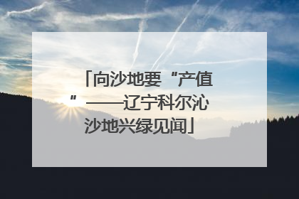 向沙地要“产值”——辽宁科尔沁沙地兴绿见闻