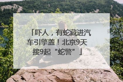 吓人，有蛇藏进汽车引擎盖！北京9天接9起“蛇警”