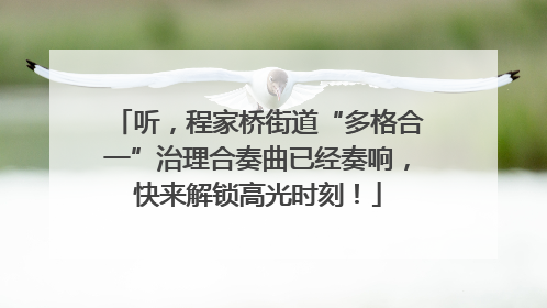 听，程家桥街道“多格合一”治理合奏曲已经奏响，快来解锁高光时刻！