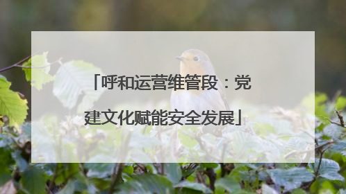 呼和运营维管段：党建文化赋能安全发展
